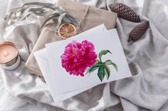 Peony watercolor - sublimation design Product Image 4