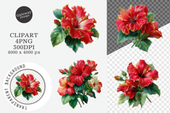 Summer Tropical Hibiscus Flower Clipart Product Image 1