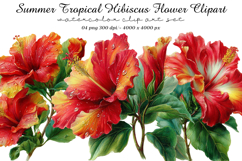 Summer Tropical Hibiscus Flower Clipart Product Image 1