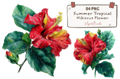 Summer Tropical Hibiscus Flower Clipart Product Image 1