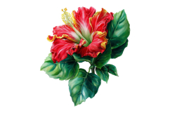 Summer Tropical Hibiscus Flower Clipart Product Image 2