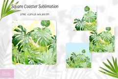summer tropical monsteral square coaster sublimation