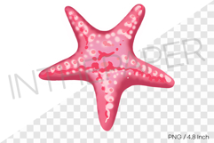 Pink ocean beach starfish PNG summer beach clipart illust Product Image 1
