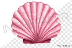 Pink sea ocean seashell PNG summer beach clipart illust Product Image 1