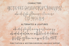 Summerback Script Font Product Image 10