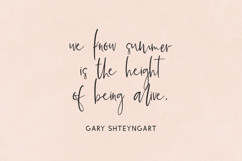 Summerback Script Font Product Image 6