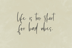 Summerback Script Font Product Image 7