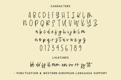 Summerfelt Script Font Product Image 10
