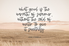 Summerfelt Script Font Product Image 2