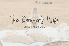 Summerfelt Script Font Product Image 8