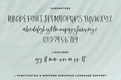Summerlight Script Font Product Image 10