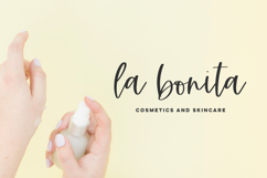 Summerlight Script Font Product Image 4