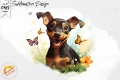 Pinscher Spring Watercolor Sublimation Design PNG Product Image 1