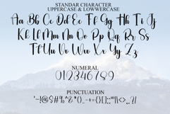 Sunberry Product Image 7