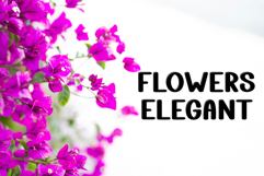 Sunday Bunny Product Image 5