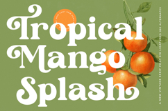 Sunday Ginger - New Vintage Serif Font Product Image 4