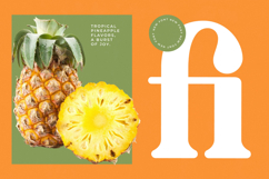 Sunday Ginger - New Vintage Serif Font Product Image 9