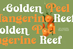 Sunday Ginger - New Vintage Serif Font Product Image 10