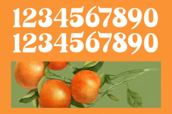 Sunday Ginger - New Vintage Serif Font Product Image 17