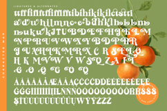 Sunday Ginger - New Vintage Serif Font Product Image 18