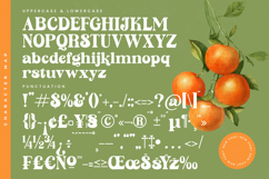 Sunday Ginger - New Vintage Serif Font Product Image 19