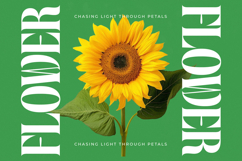 Sunday Mirage - Modern Alternate Serif Font Product Image 9