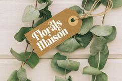 Sunday Mirage - Modern Alternate Serif Font Product Image 10