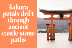 Sunday Mirage - Modern Alternate Serif Font Product Image 13