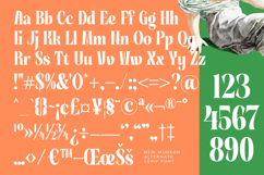 Sunday Mirage - Modern Alternate Serif Font Product Image 18