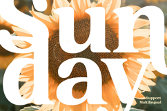 Sunday Ridges - Modern Retro Serif Font Product Image 11