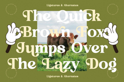 Sunday Ridges - Modern Retro Serif Font Product Image 12