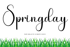 Sunday Teacher Product Image 5