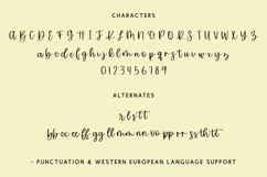 Sunfall Script Font Product Image 10