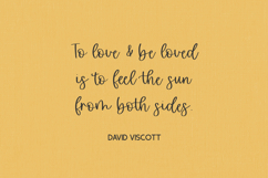 Sunfall Script Font Product Image 2