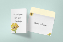 Sunfall Script Font Product Image 6