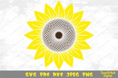 Sunflower illustration Product Image 1