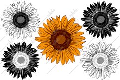 Sunflower Clipart Cut File PNG SVG EPS dxf pdf Product Image 1