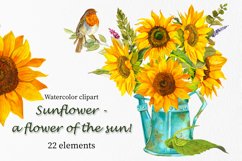 Sunflower - a flower of the sun! Watercolor clipart Product Image 1