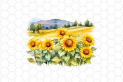 Sunflower Field Watercolor Clipart