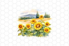 Sunflower Field Watercolor Clipart