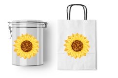 Sunflower flower vector colorful illustration Product Image 4