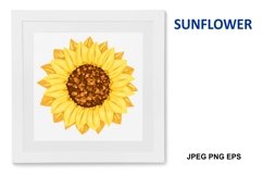 Sunflower flower vector colorful illustration Product Image 1
