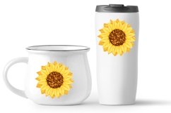 Sunflower flower vector colorful illustration Product Image 3