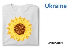 Sunflower flower vector colorful illustration Product Image 5