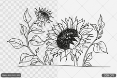 Sunflower Frame SVG PNG Design Product Image 1