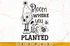 Bloom Where You Are Planted SVG | Sunflower SVG Product Image 1