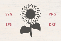 Sunflowers stem leaves SVG Product Image 1
