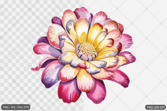 Sunflower Sublimation SVG PNG Bundle Product Image 18