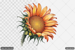 Sunflower Sublimation SVG PNG Bundle Product Image 4