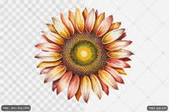 Sunflower Sublimation SVG PNG Product Image 1